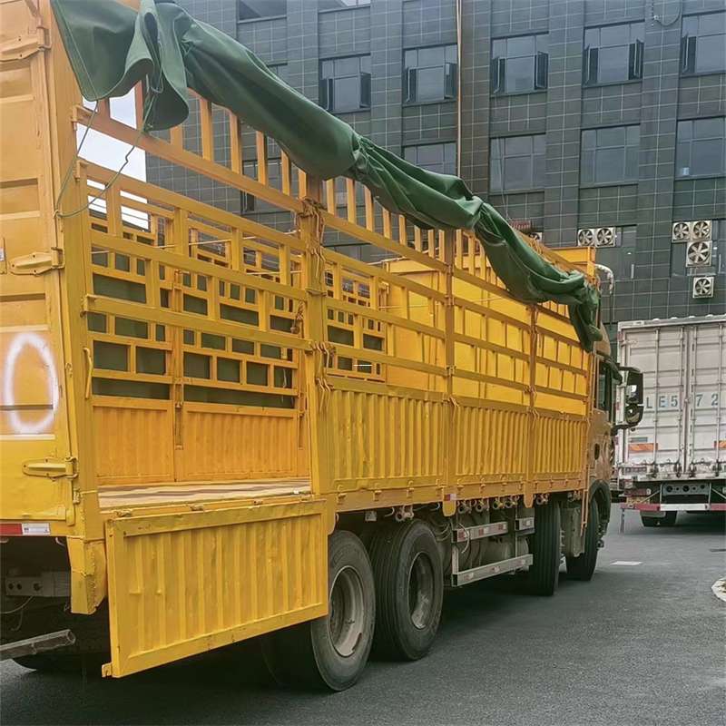 费县吉安市物流：多元服务与高效运输线路探秘
