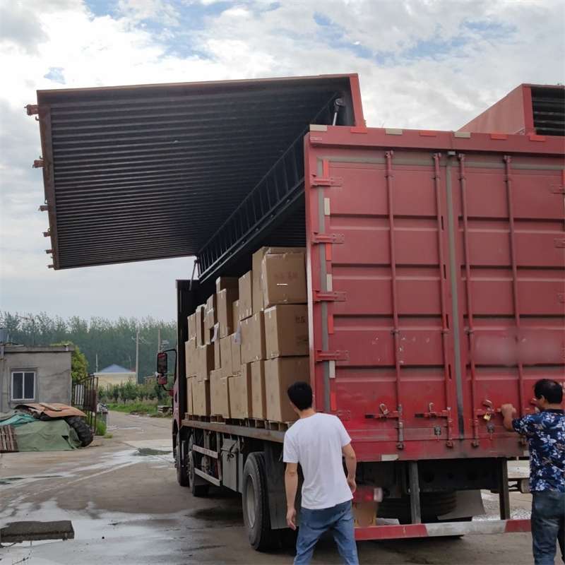 费县扎囊县：物流专线的高效货运之旅