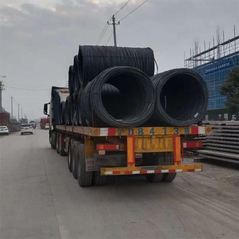 费县丽江市物流运输：多元服务与高效线路探秘